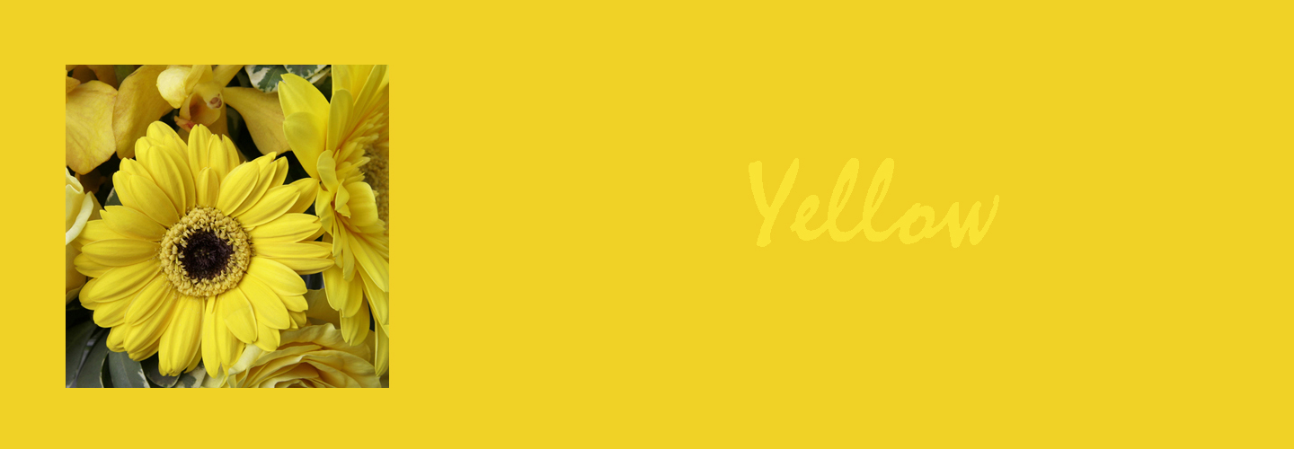 YELLOW – AROUND THE WORLD