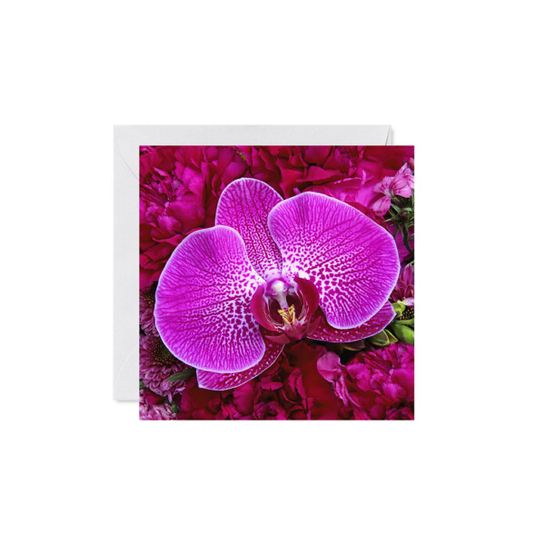 Fuchsia Flower Greeting Card